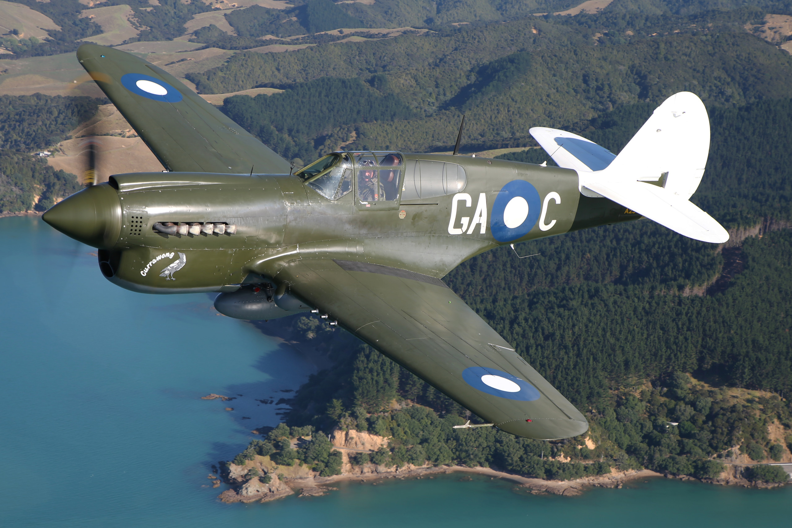 Curtis P-40-N-1 Kittyhawk - NZ Warbirds